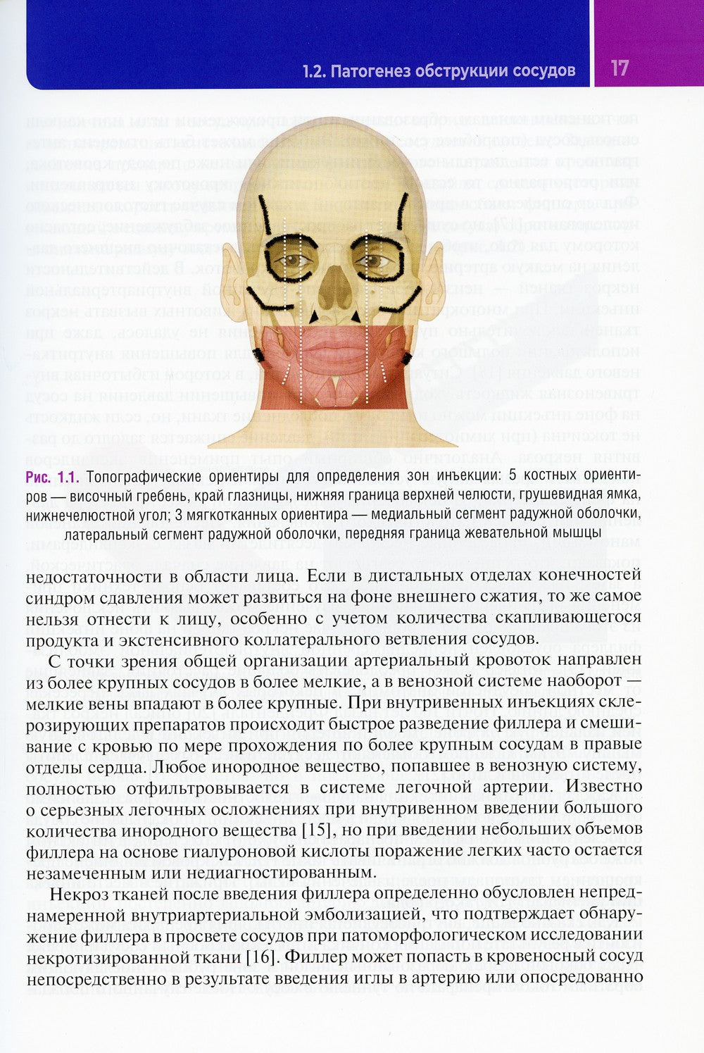 Инъекционные филлеры. Моделирование и контурная пластика лица
