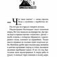 Боги и воины. Кн. 2. Горящая тень: роман