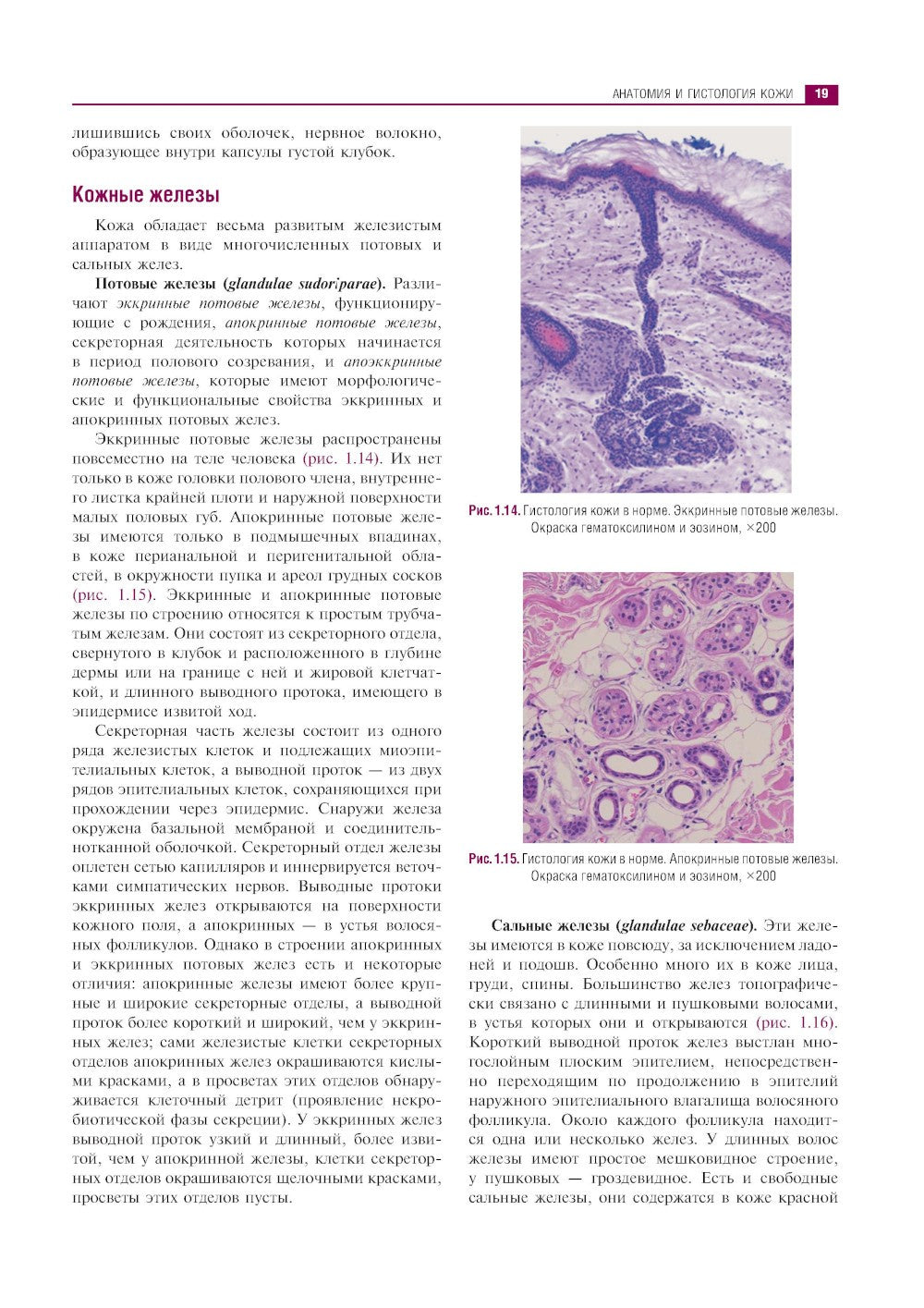 Клиническая дерматология. Иллюстрированное руководство для врачей. 2-е изд., ...