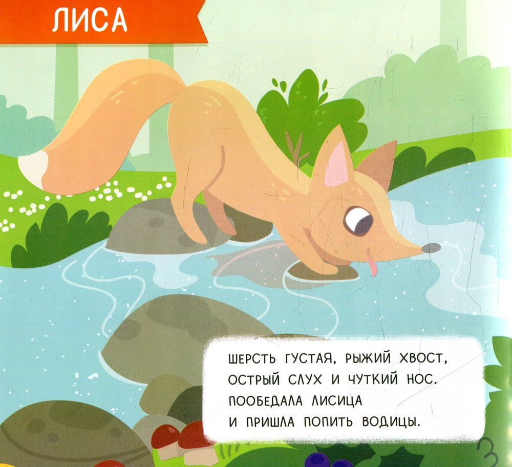 Лес: мини-энциклопедия для крохи