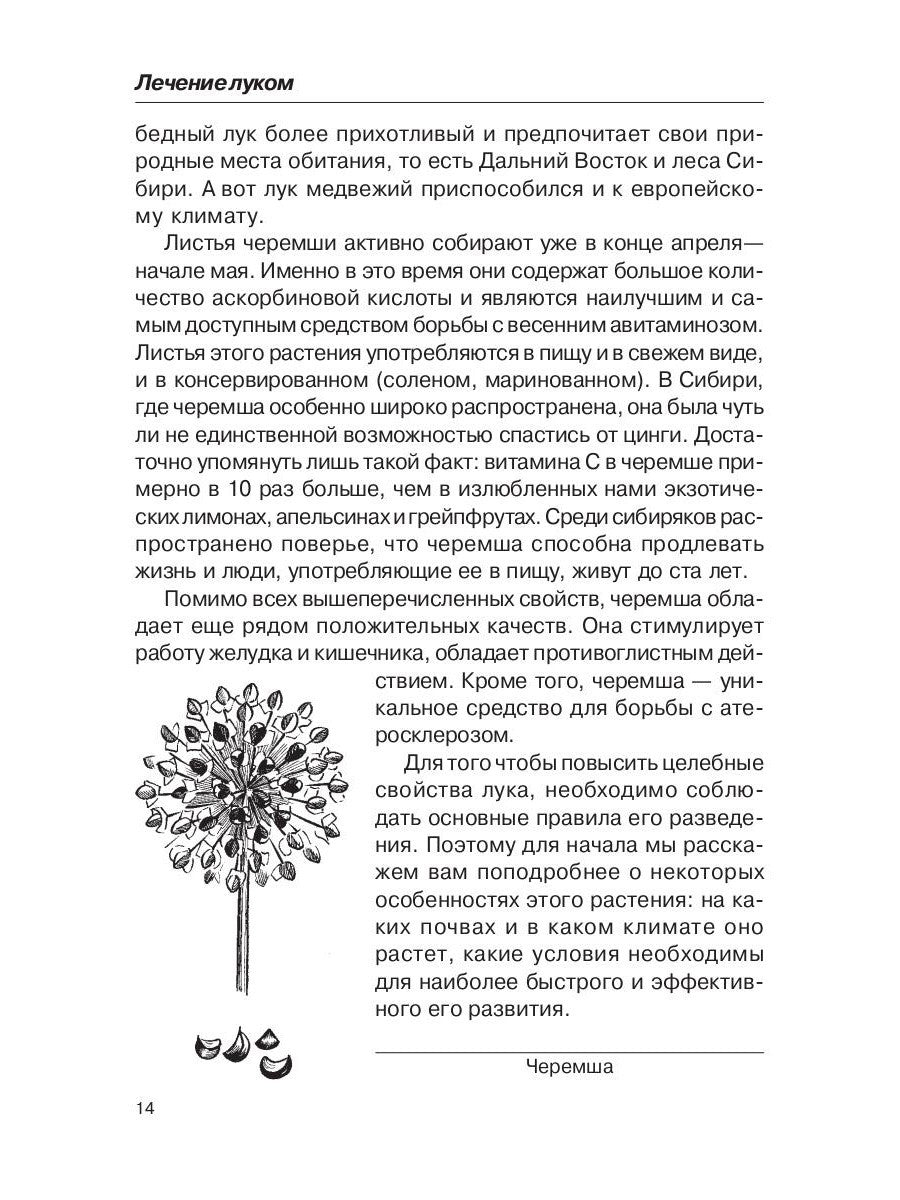 Лечением луком