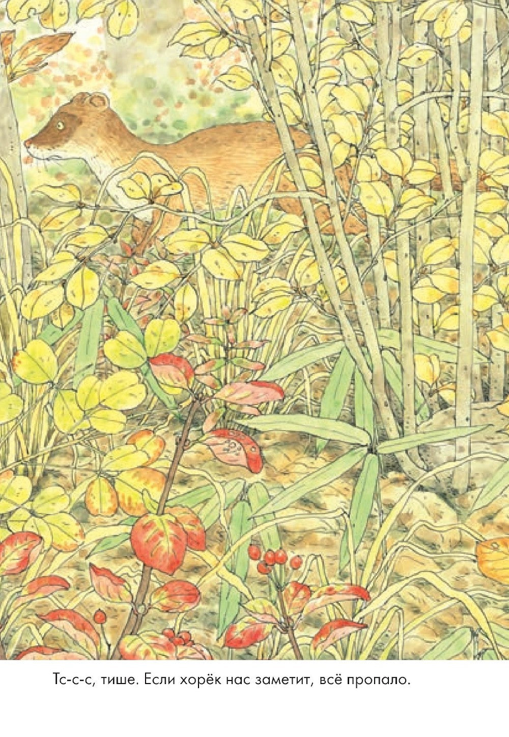 14 лесных мышей. Переезд