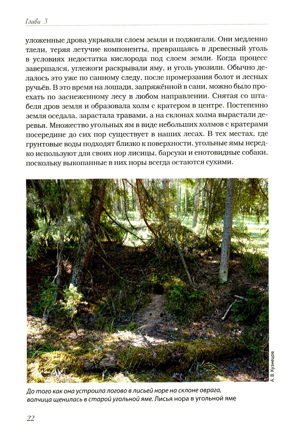 Волчьими тропами. Лесная быль