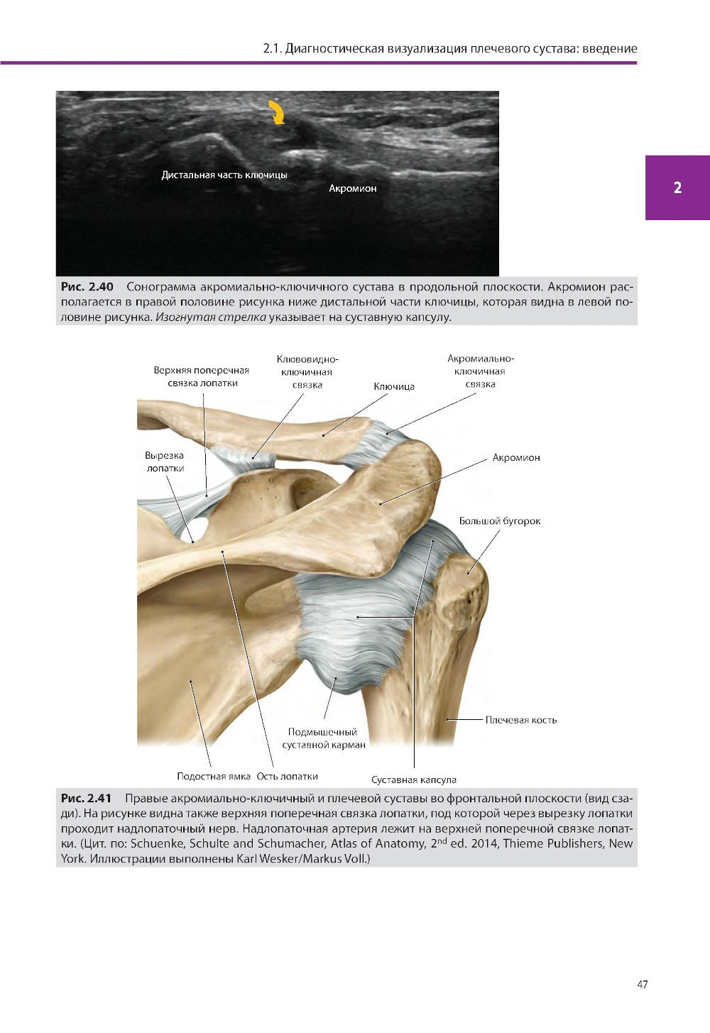 Ультразвуковая диагностика болезней костно-мышечной системы и инъекции под ул...