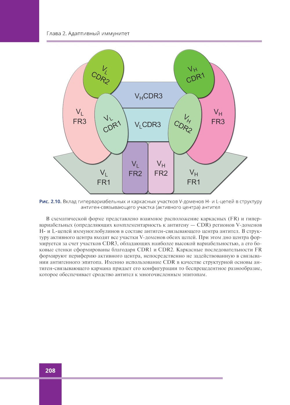 Иммунология. Атлас. 3-е изд., обновл