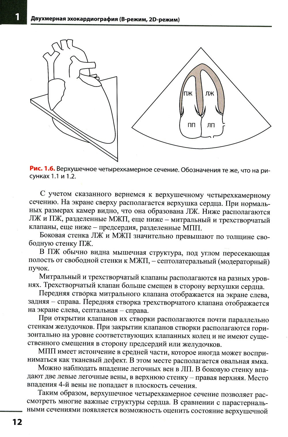 Эхокардиография. Методика и количественная оценка. 3-е изд., перераб.и доп