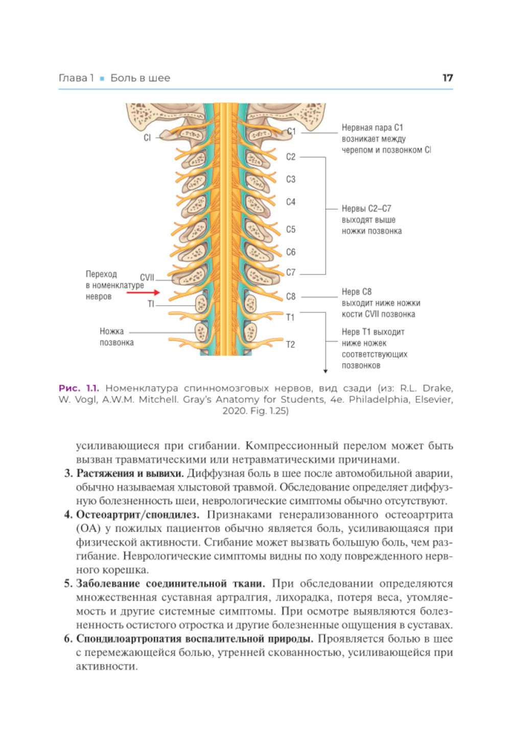 Клиническая диагностика в физической медицине и реабилитации. Разбор клиничес...