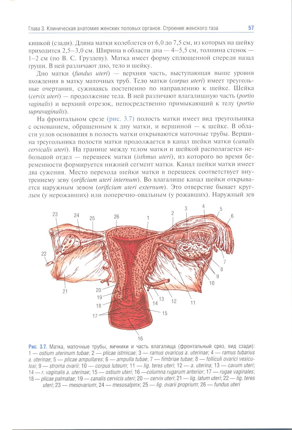 Акушерство: учебник. 10-е изд., перераб.и доп