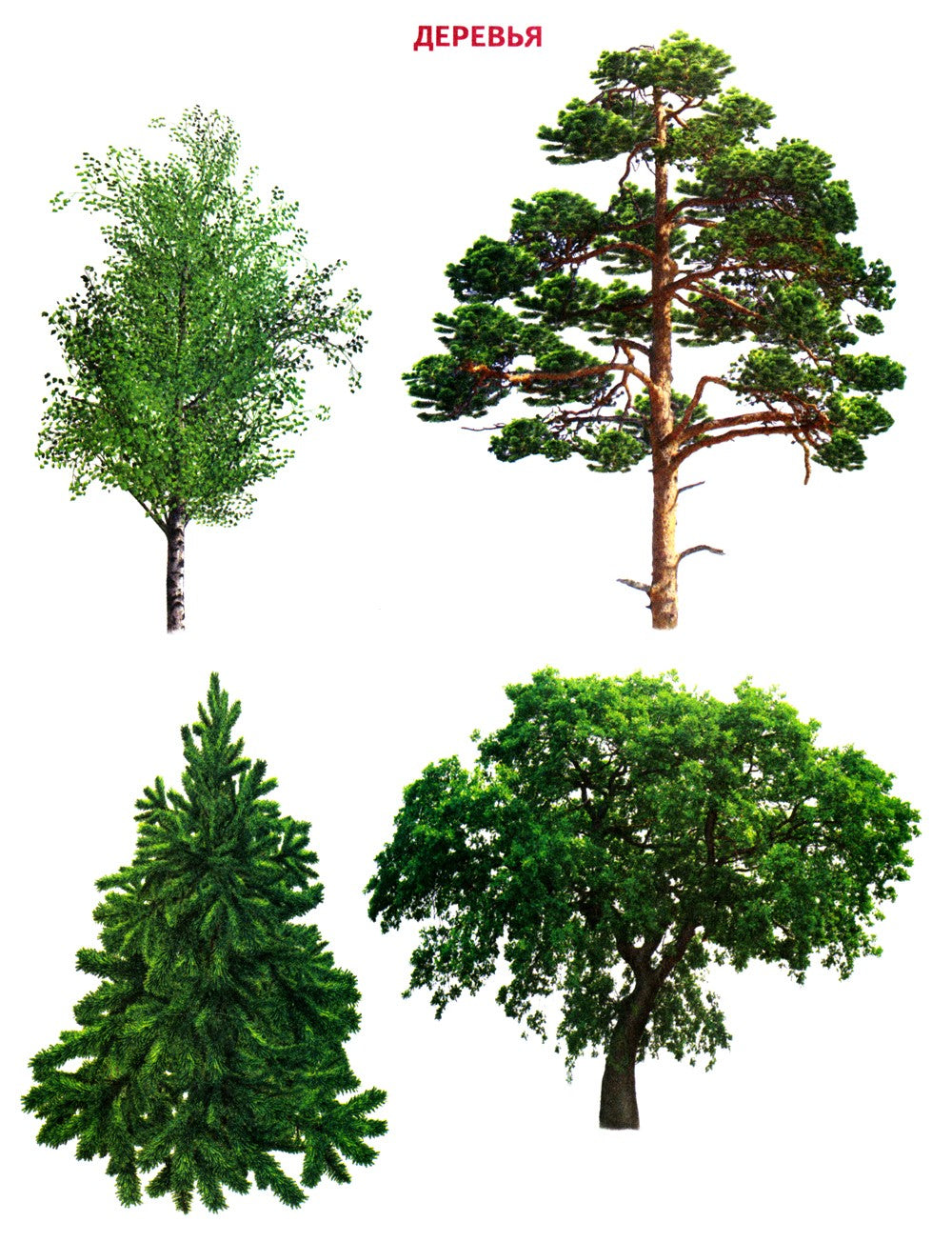 Геометрия вокруг нас. Рисование по клеточкам для детей 5-7 лет