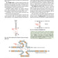 Biochemistry with exercises and tasks: textbook: на англ.яз