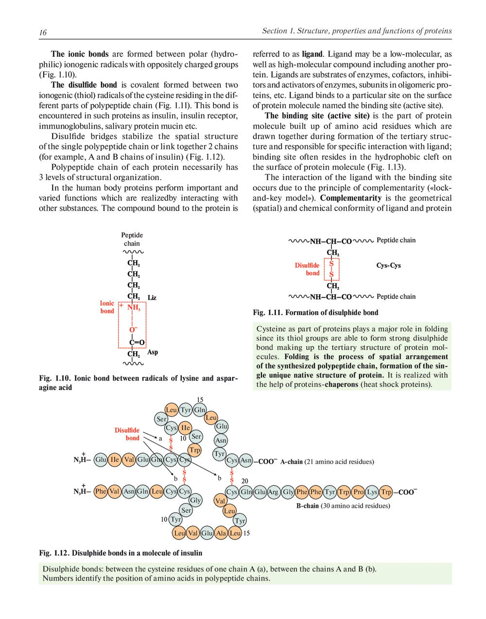 Biochemistry with exercises and tasks: textbook: на англ.яз