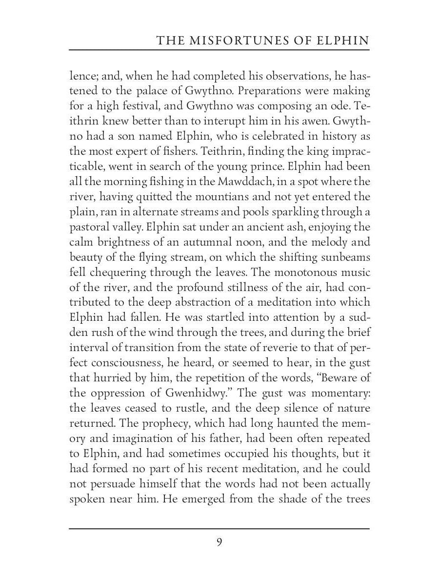 The Misfortunes of Elphin = Несчастья Эльфина: на англ.яз