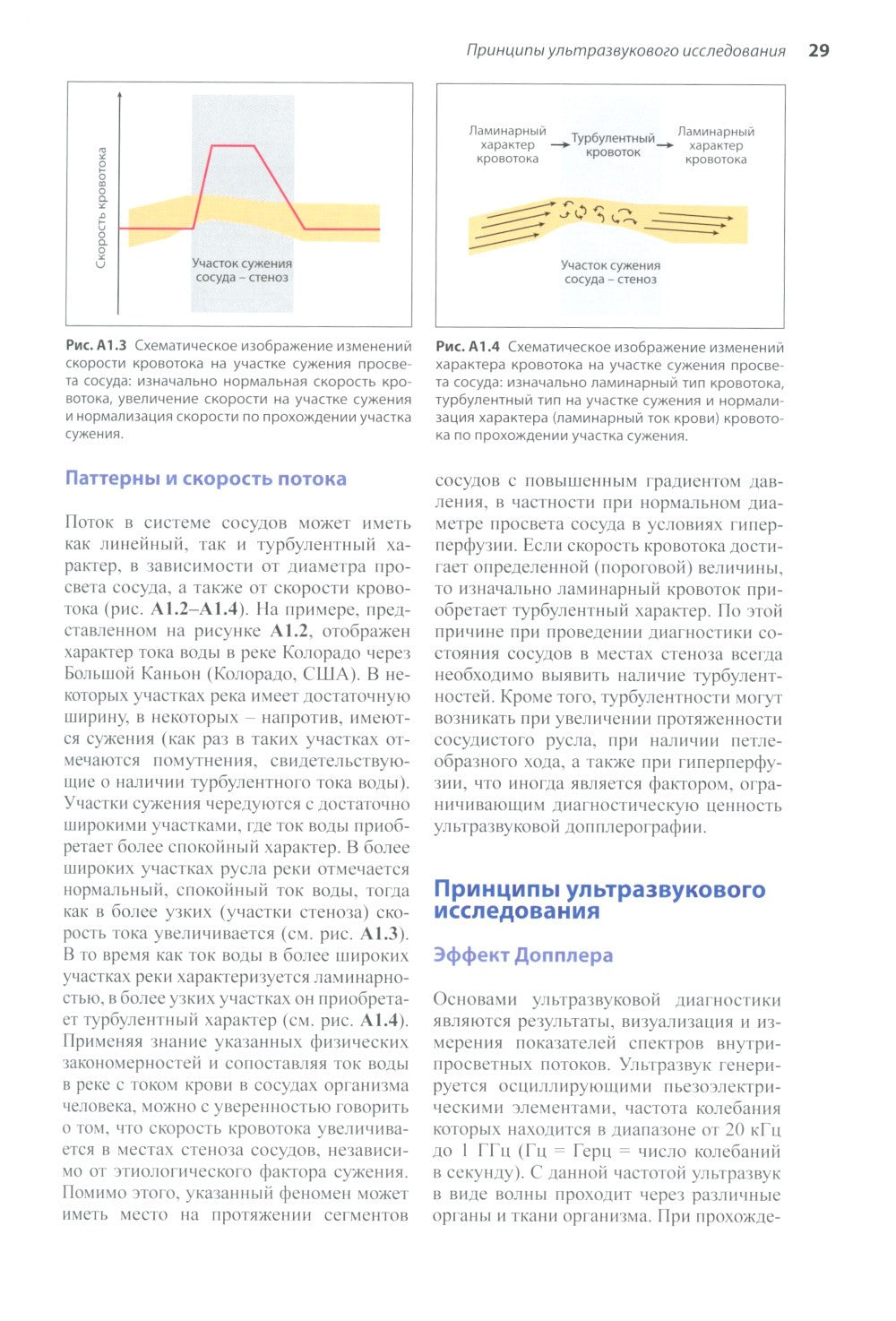 Нейросонология и нейровизуализация при инсульте. 3-е изд