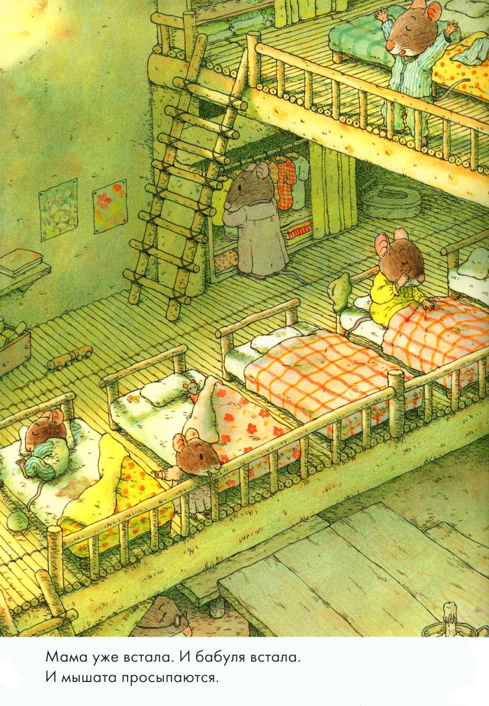 14 лесных мышей. Комплект суточный (комплект из 4-х книг)