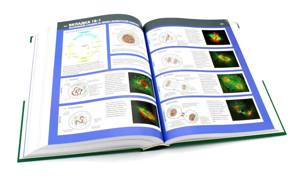 Основы молекулярной биологии клетки. 3-е изд., полн., перераб. и расш