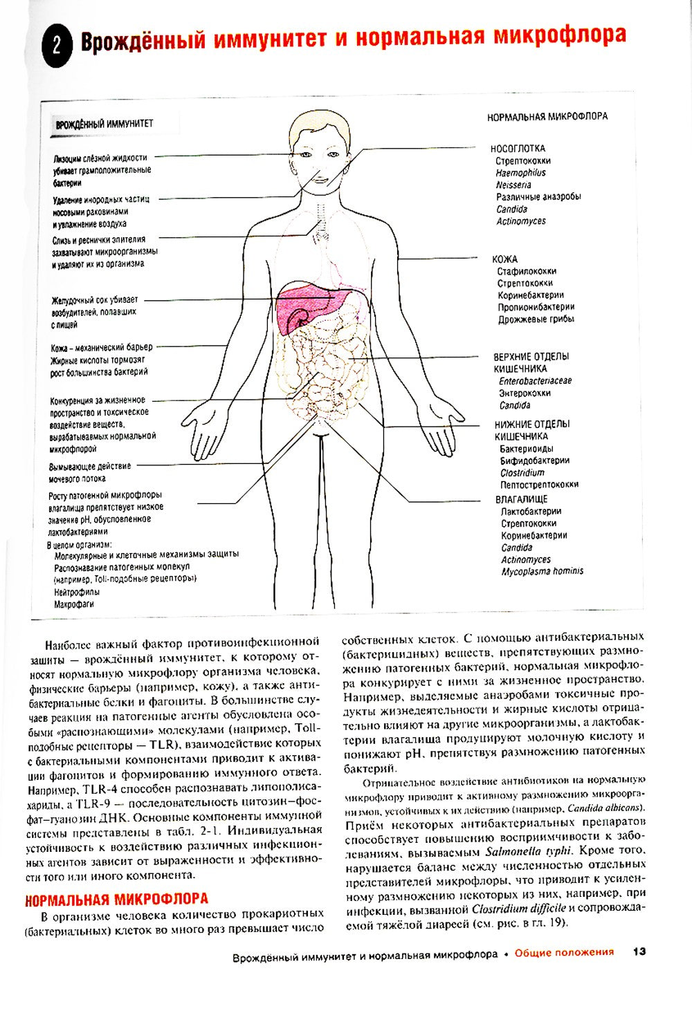 Наглядные инфекционные болезни и микробиология. 2-е изд., перераб.и доп