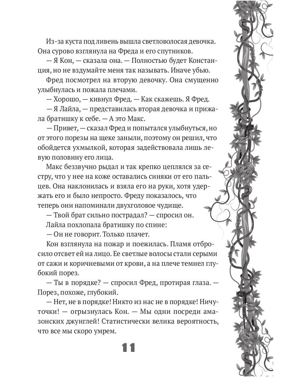 Исследователь: роман