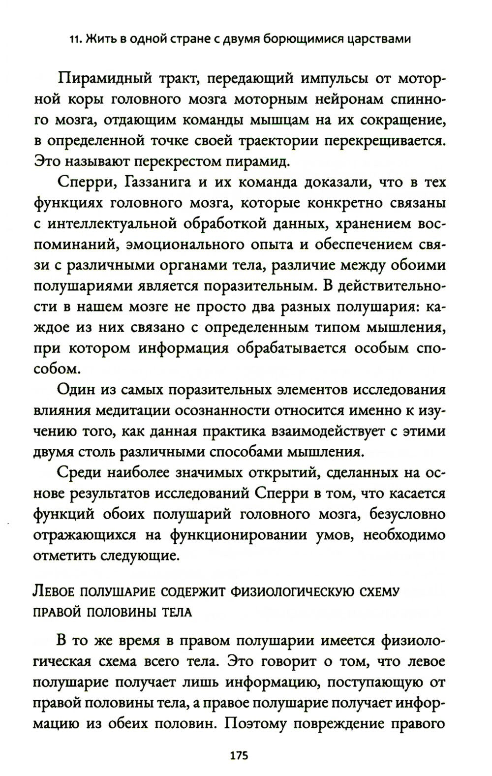 Дыхание и медитация осознанности: Как сохранять спокойствие в любых жизненных...