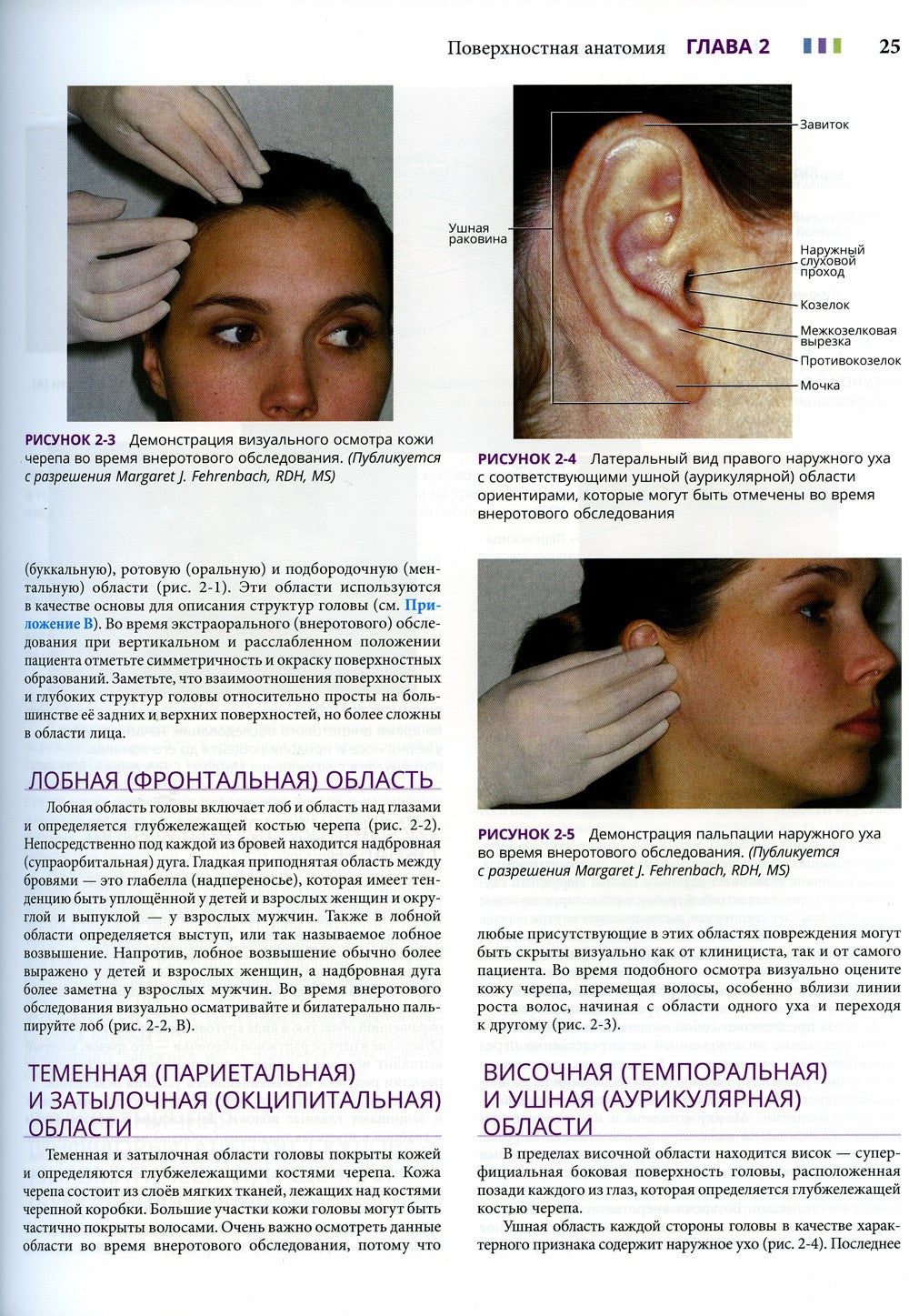 Иллюстрированная анатомия головы и шеи. 5-е изд