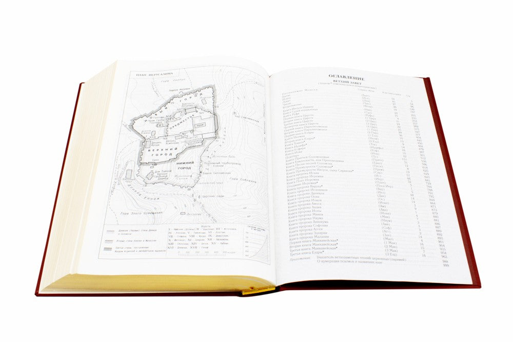 Библия. Книги Священного Писания Ветхого и Нового Завета (золотой обрез)