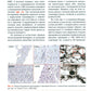 Миокардит в период пандемии SARS-CoV-2