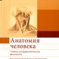 Анатомия человека: Учебник для фармацевтических факультетов