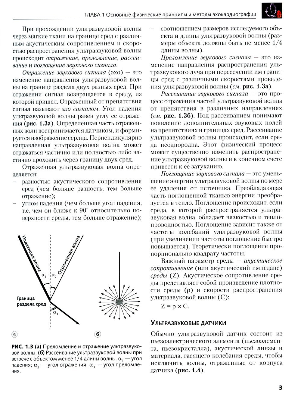 Клиническая эхокардиография: основной курс