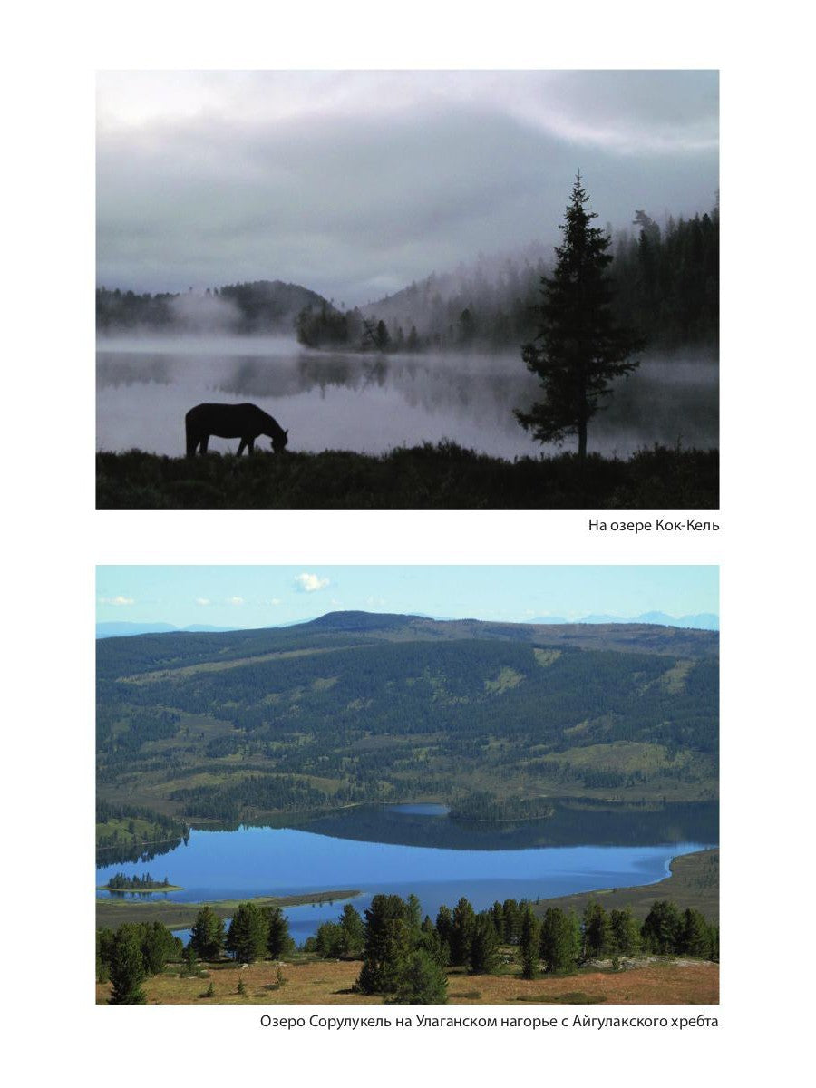 Живой Алтай. Горы, люди, приключения