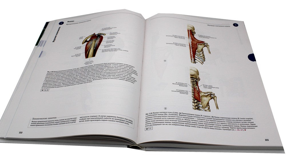 Sobotta. Атлас анатомии человека. В 3 т. Т. 1: Общая анатомия и костно-мышечн...