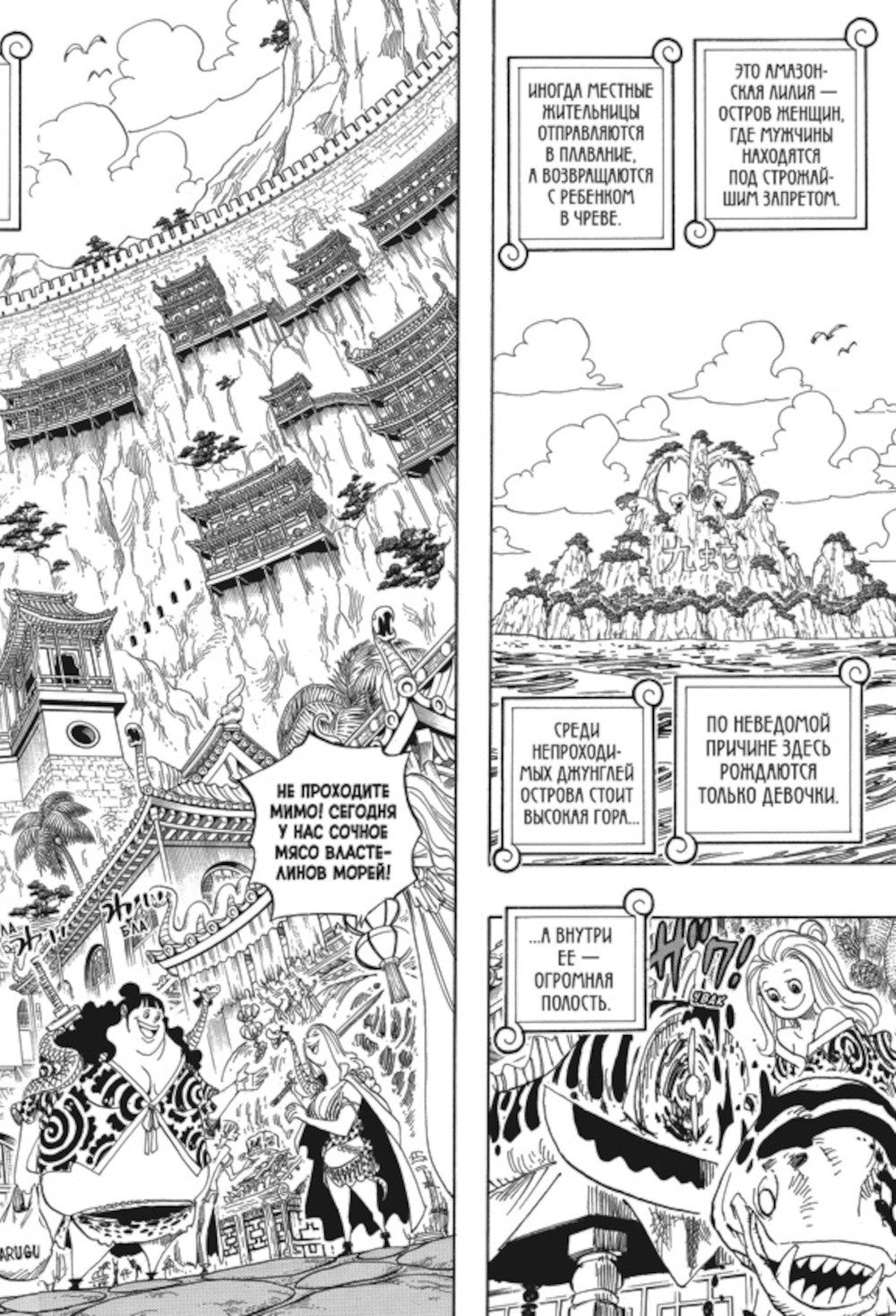 One Piece. Большой куш 17-18: манга (комплект из 2-х книг)