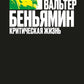 Вальтер Беньямин: критическая жизнь