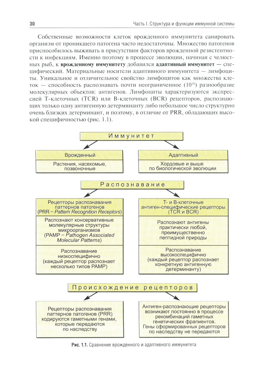 Иммунология: Учебник. 4-е изд., перераб. и доп