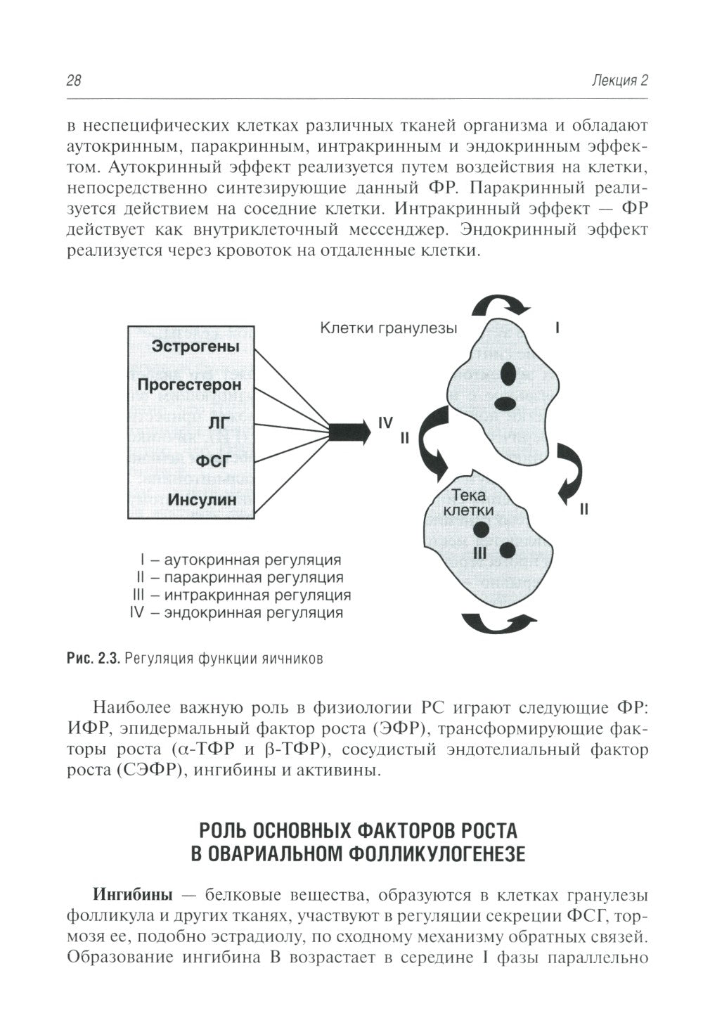 Гинекологическая эндокринология. Клинические лекции. 5-е изд