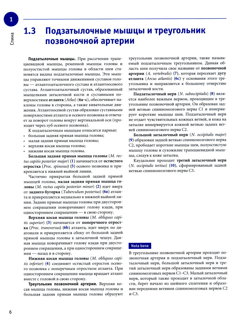 Sobotta. Рабочая тетрадь по анатомии человека