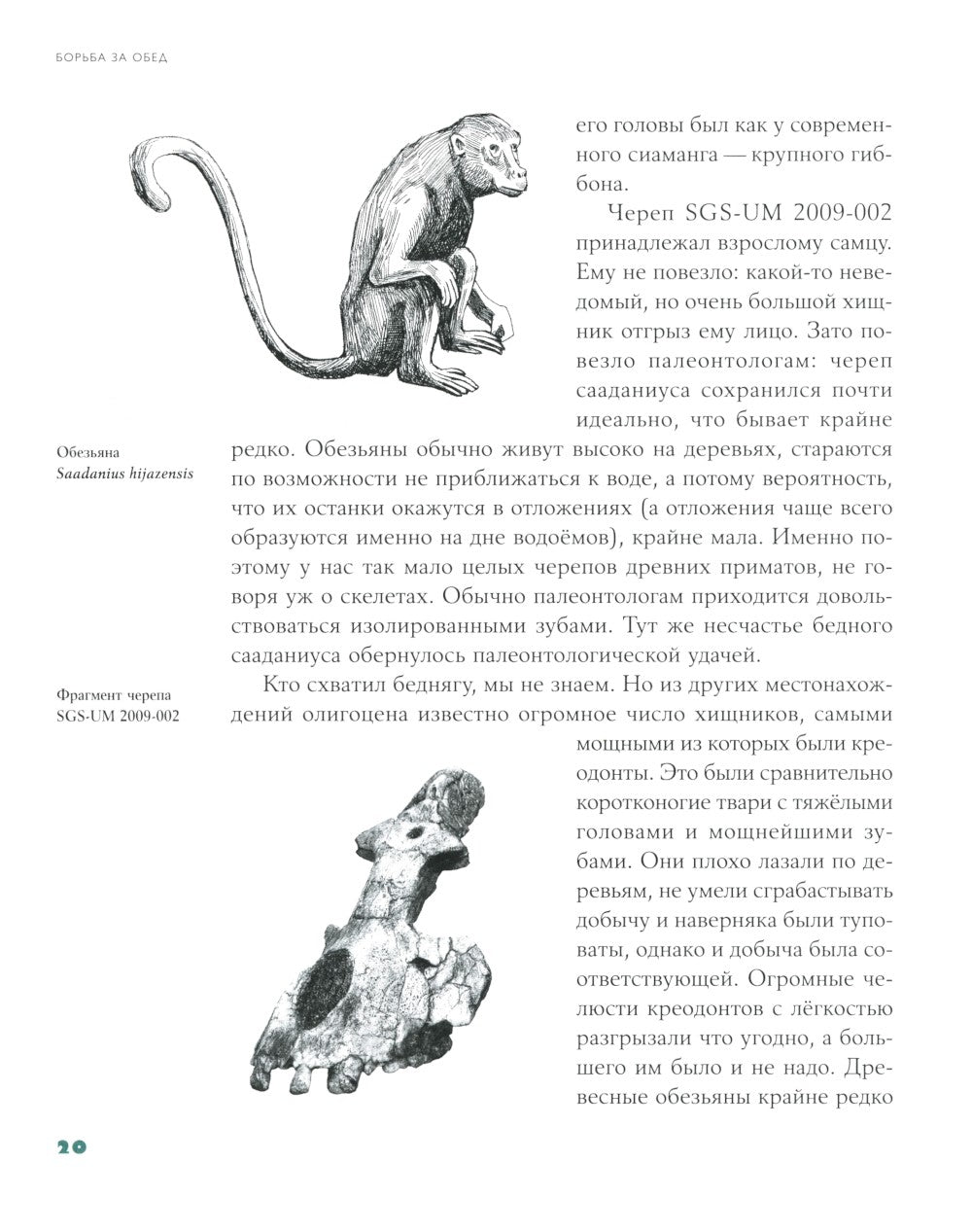 Борьба за обед: Еще 50 баек из грота