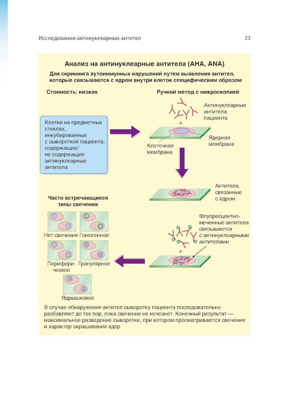 Клинические лабораторные методы: атлас наиболее часто выполняемых исследований