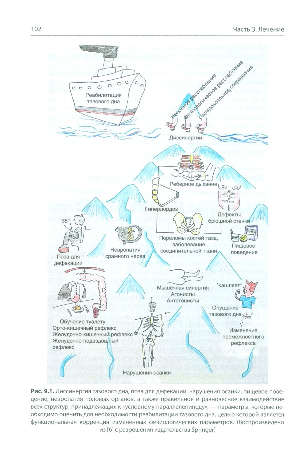 Анальная инконтиненция. Клиническое ведение и хирургическая тактика