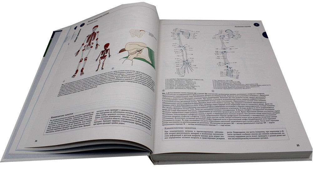 Sobotta. Атлас анатомии человека. В 3 т. Т. 1: Общая анатомия и костно-мышечн...
