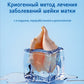 Криогенный метод лечения заболеваний шейки матки. 2-е изд., перераб. и доп