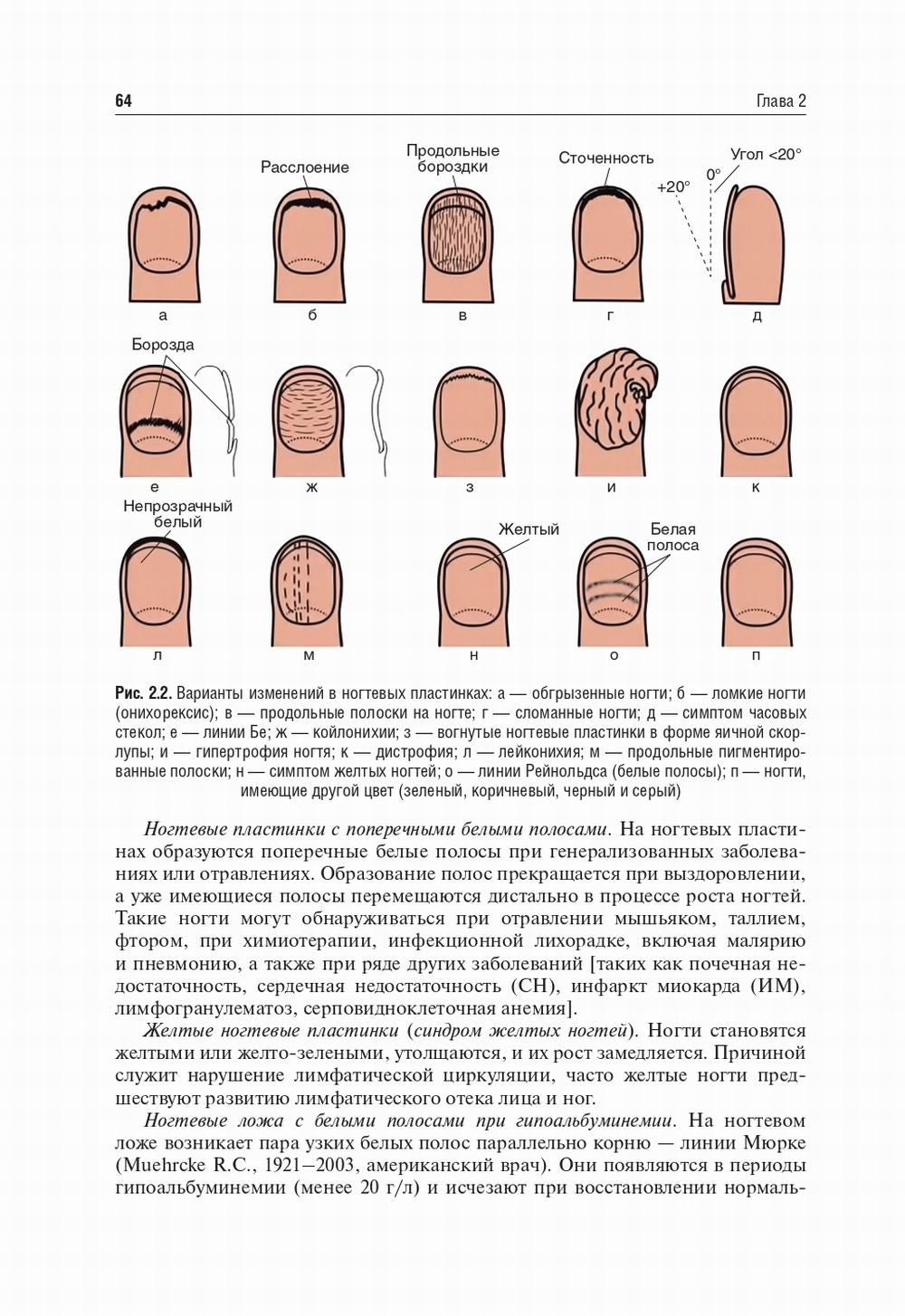 Пропедевтика внутренних болезней: Учебник