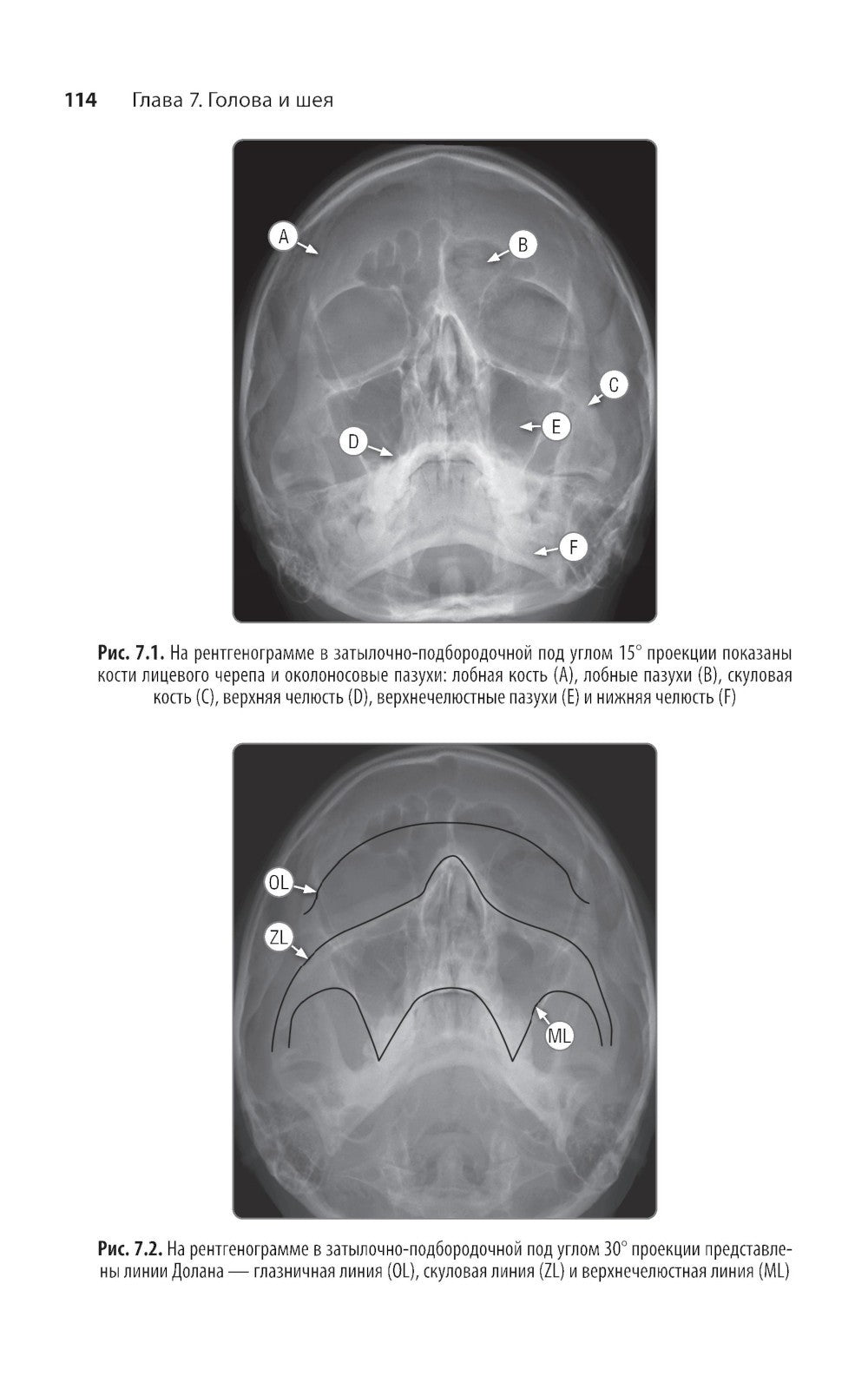 Неотложная радиология: карманный справочник