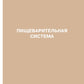 Анатомия человека: атлас: В 3 т. Т. 2. Спланхнология