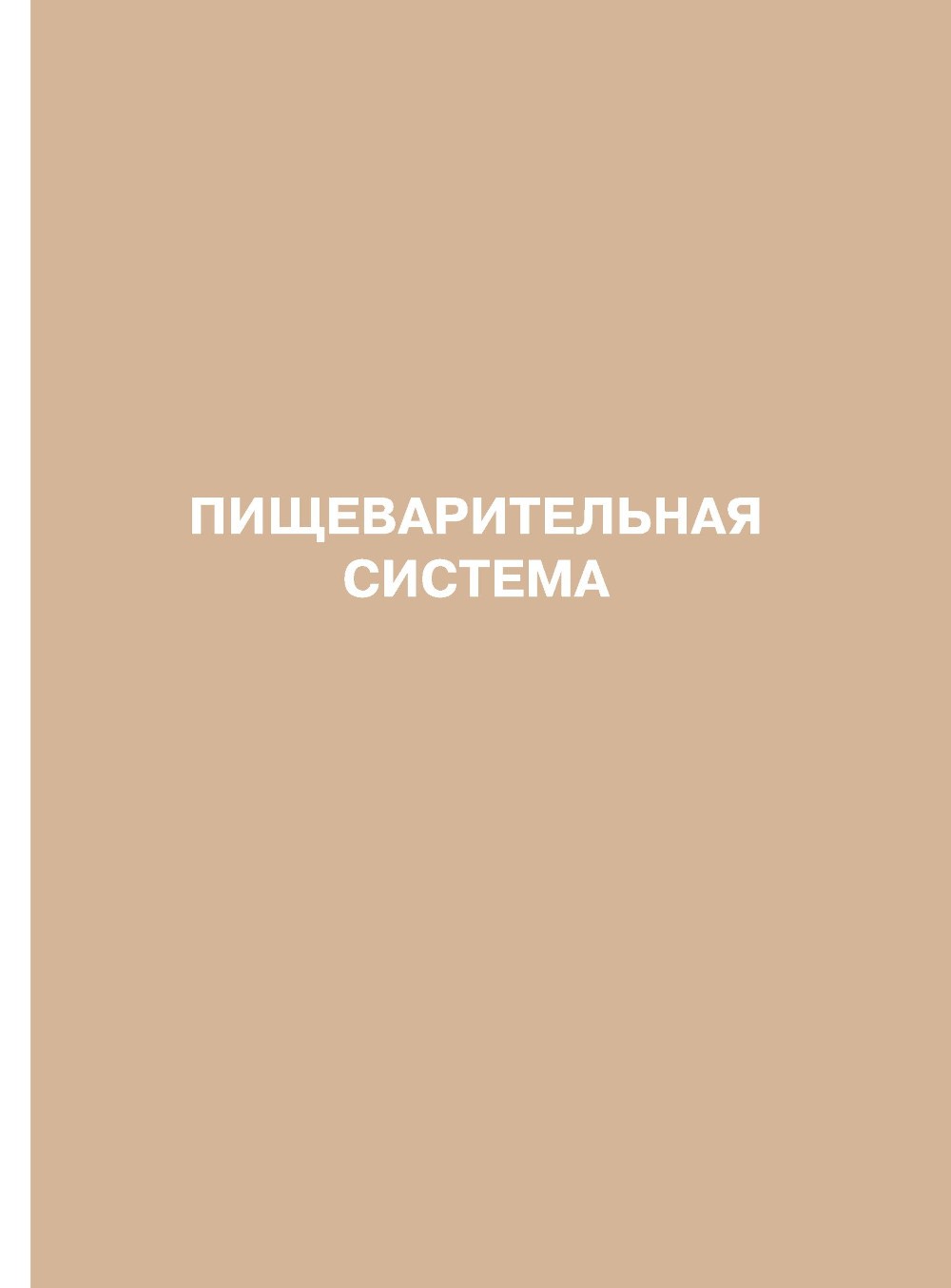 Анатомия человека: атлас: В 3 т. Т. 2. Спланхнология