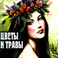 Цветы и травы. Оракул Ленорман  (36 карт + инструкция. Арт: 41888.)