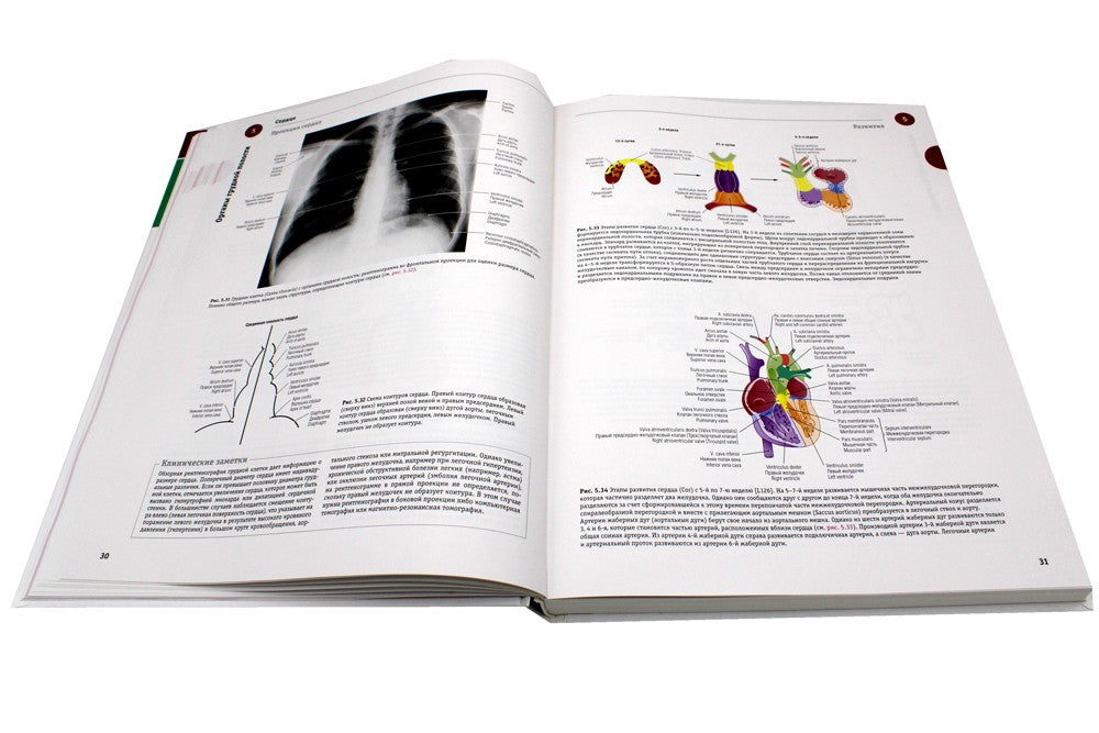 Sobotta. Атлас анатомии человека. В 3 т. Т. 2: Внутренние органы. 2-е изд