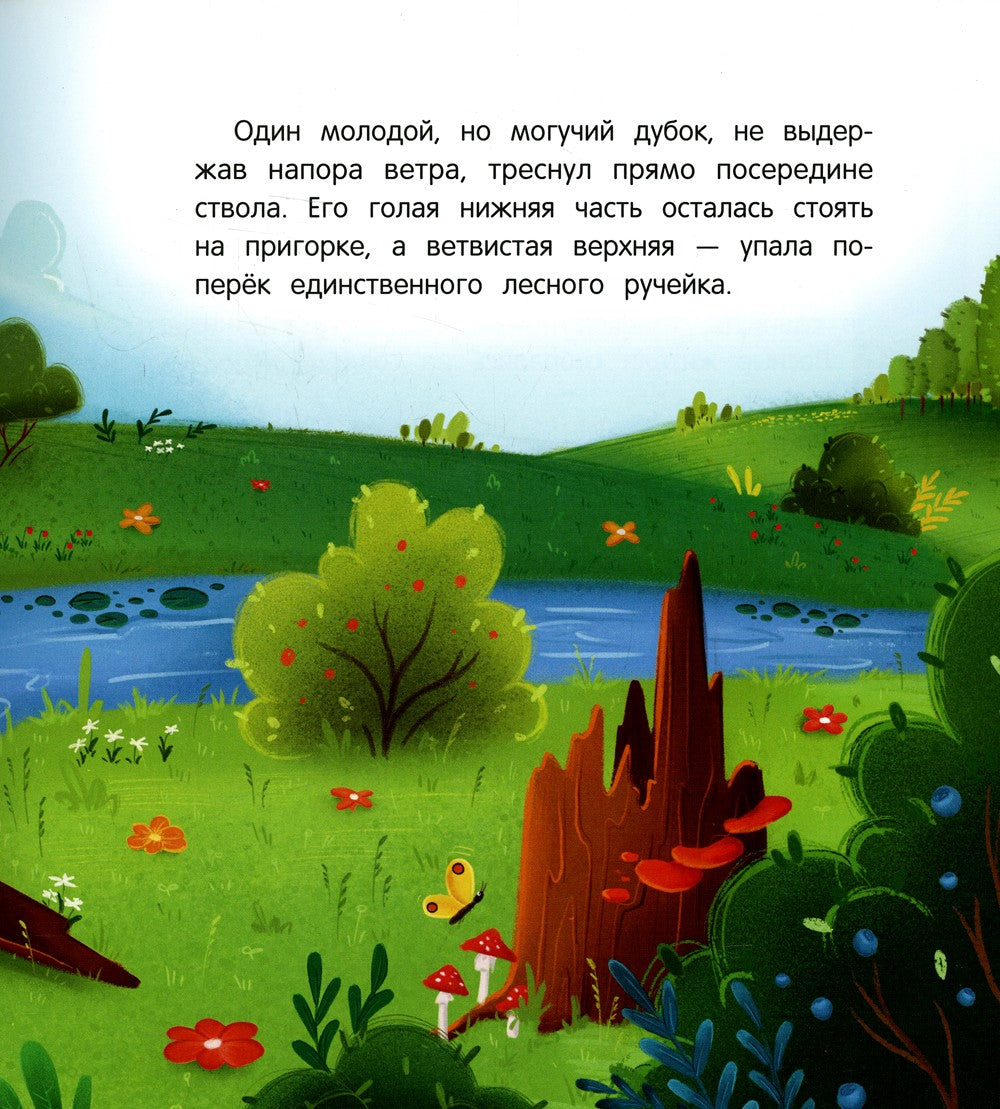 Как муравьишка лес спас