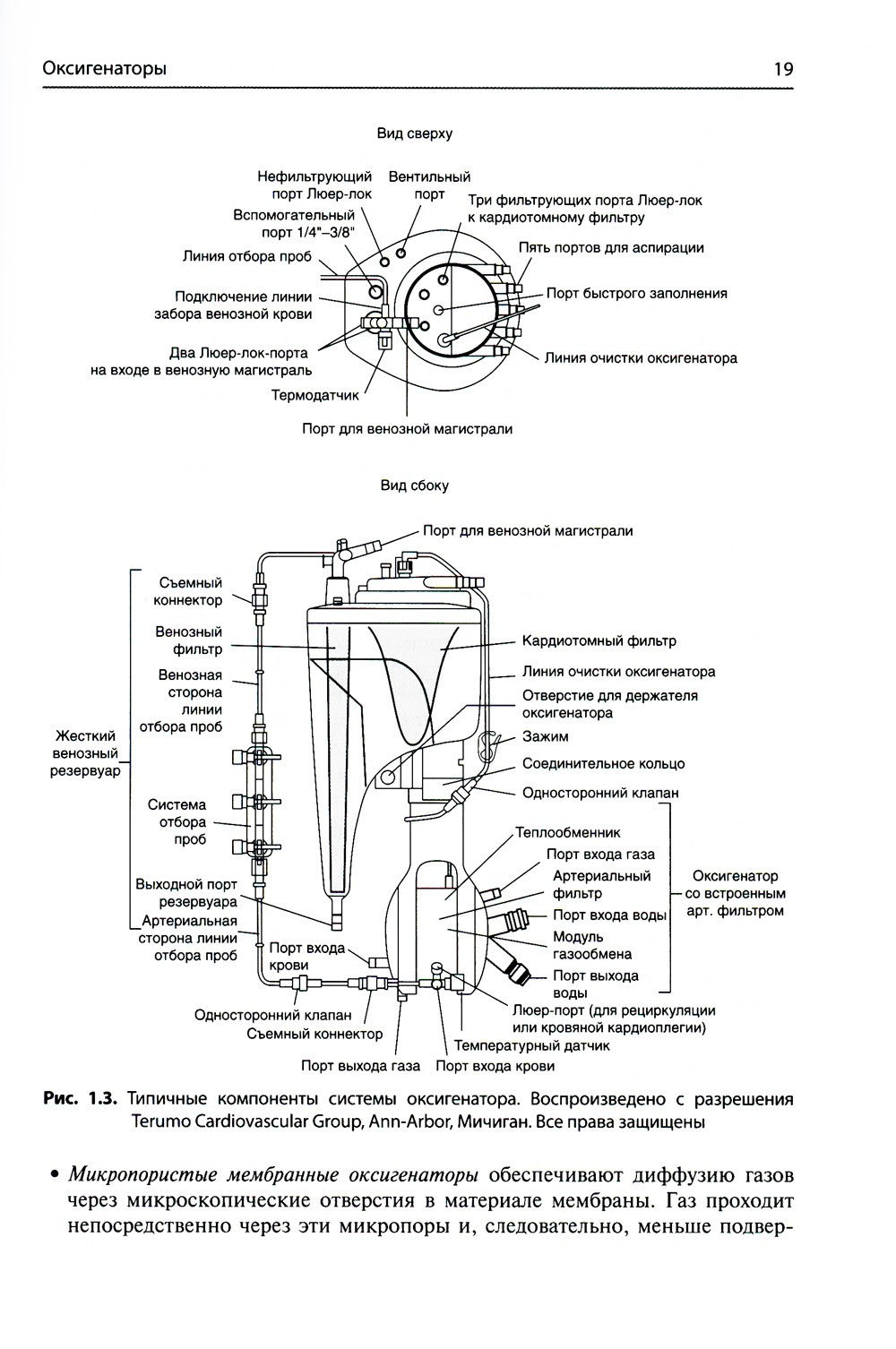 Перфузия в хирургии врожденных пороков сердца. Заметки по искусственному кров...