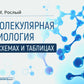 Молекулярная биология в схемах и таблицах