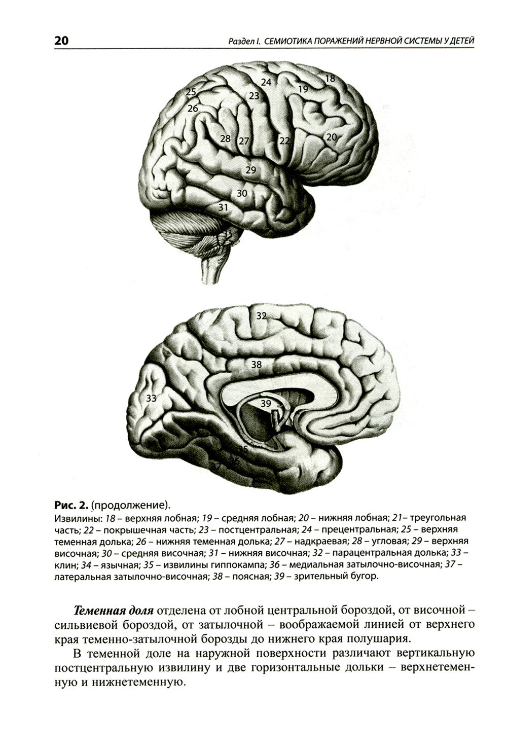 Детская неврология: Учебное пособие. 7-е изд