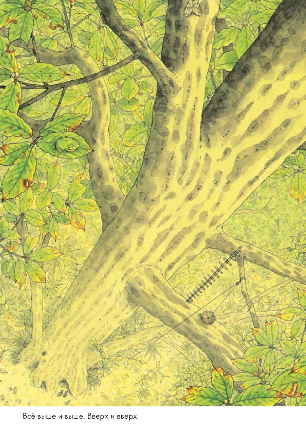 14 лесных мышей. Ужин с луной